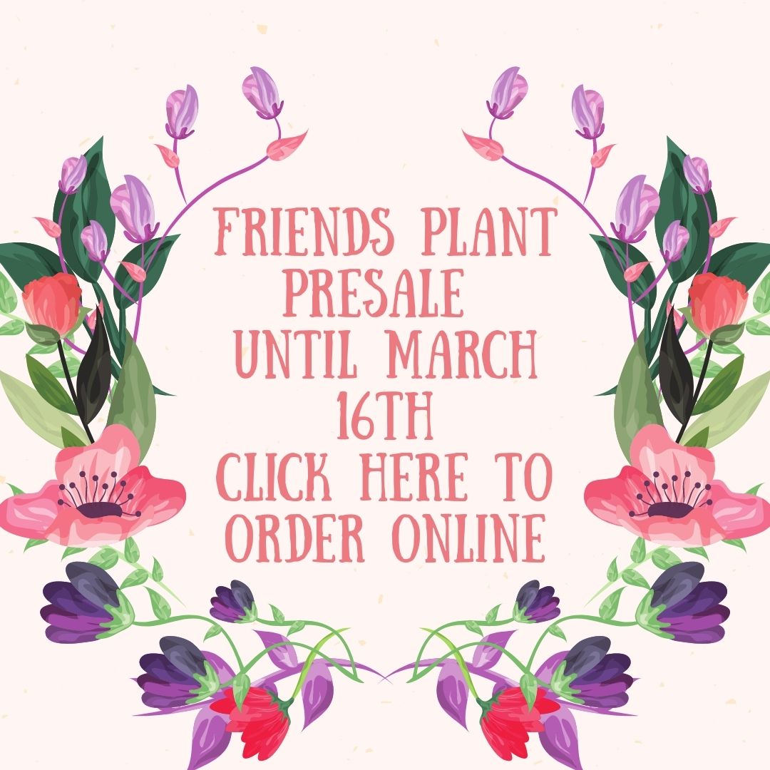 Plant pre-sale in march.jpg