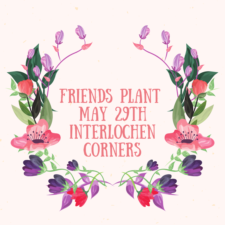 Plant Sale 