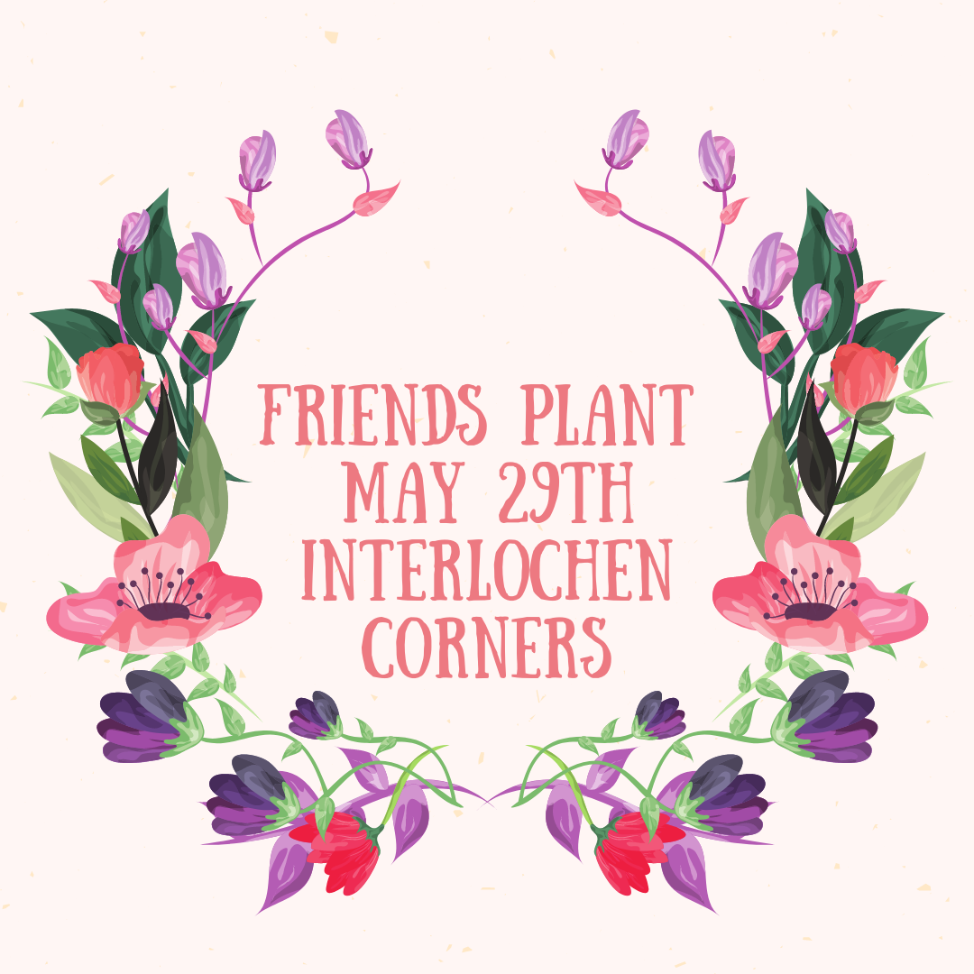 Plant Sale 