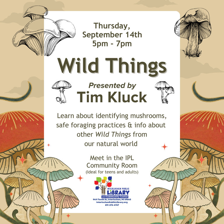 Wild Things (Square).png